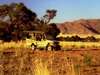Sossusvlei Lodge - game drive